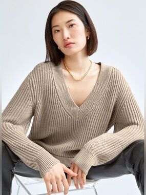 Babaton (Aritiza) ‘Roger’ Merino Wool Oversized Sweater in Heather Oat Beige